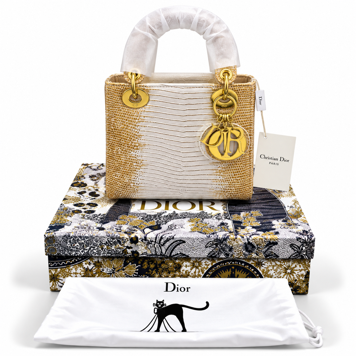 Luxury Dior Bag Master Copy