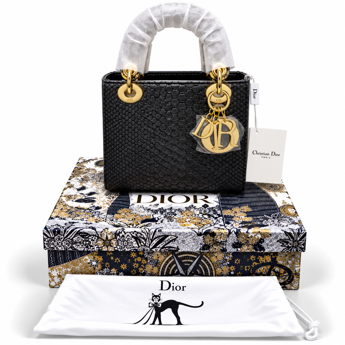 Luxury Dior Bag Master Copy