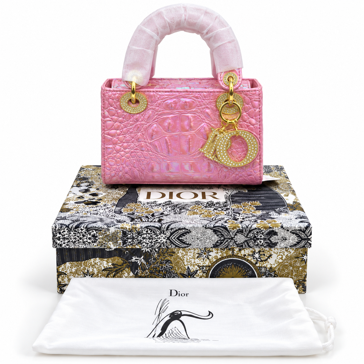 Luxury Dior Bag Master Copy