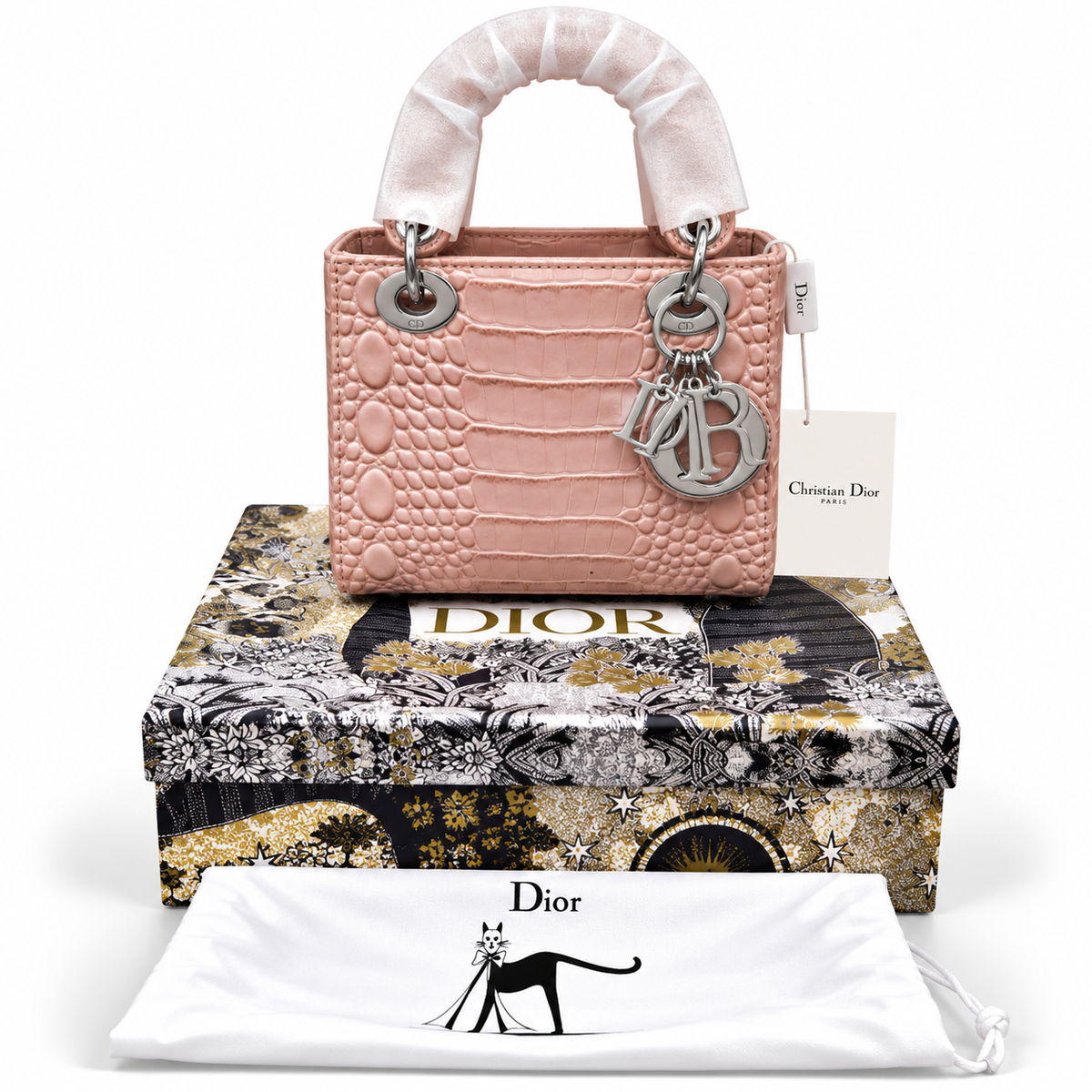 Luxury Dior Bag Master Copy