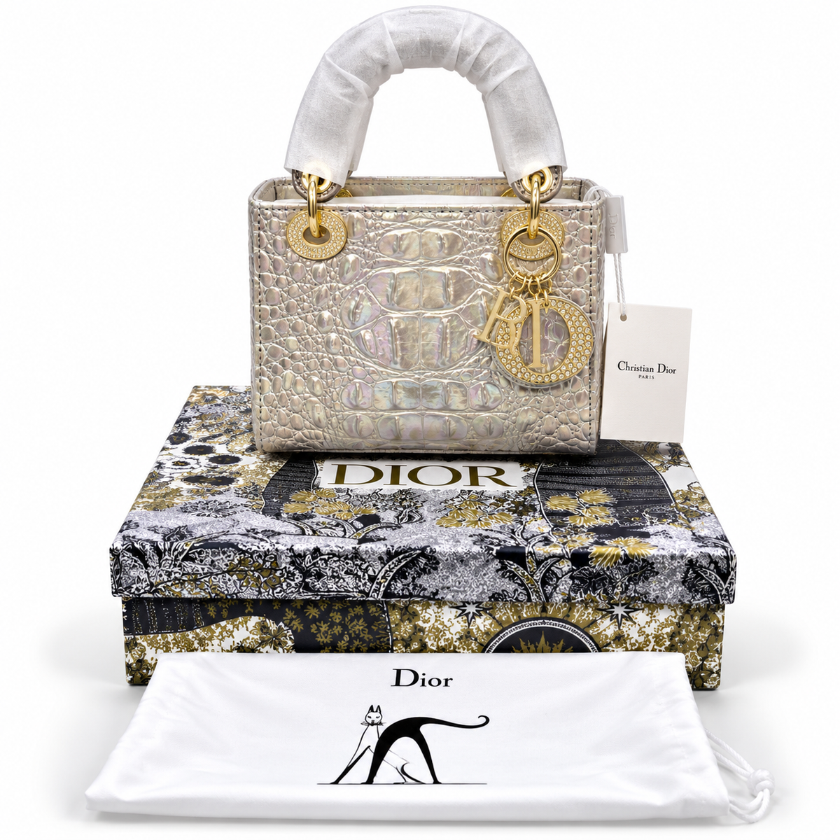 Luxury Dior Bag Master Copy 19