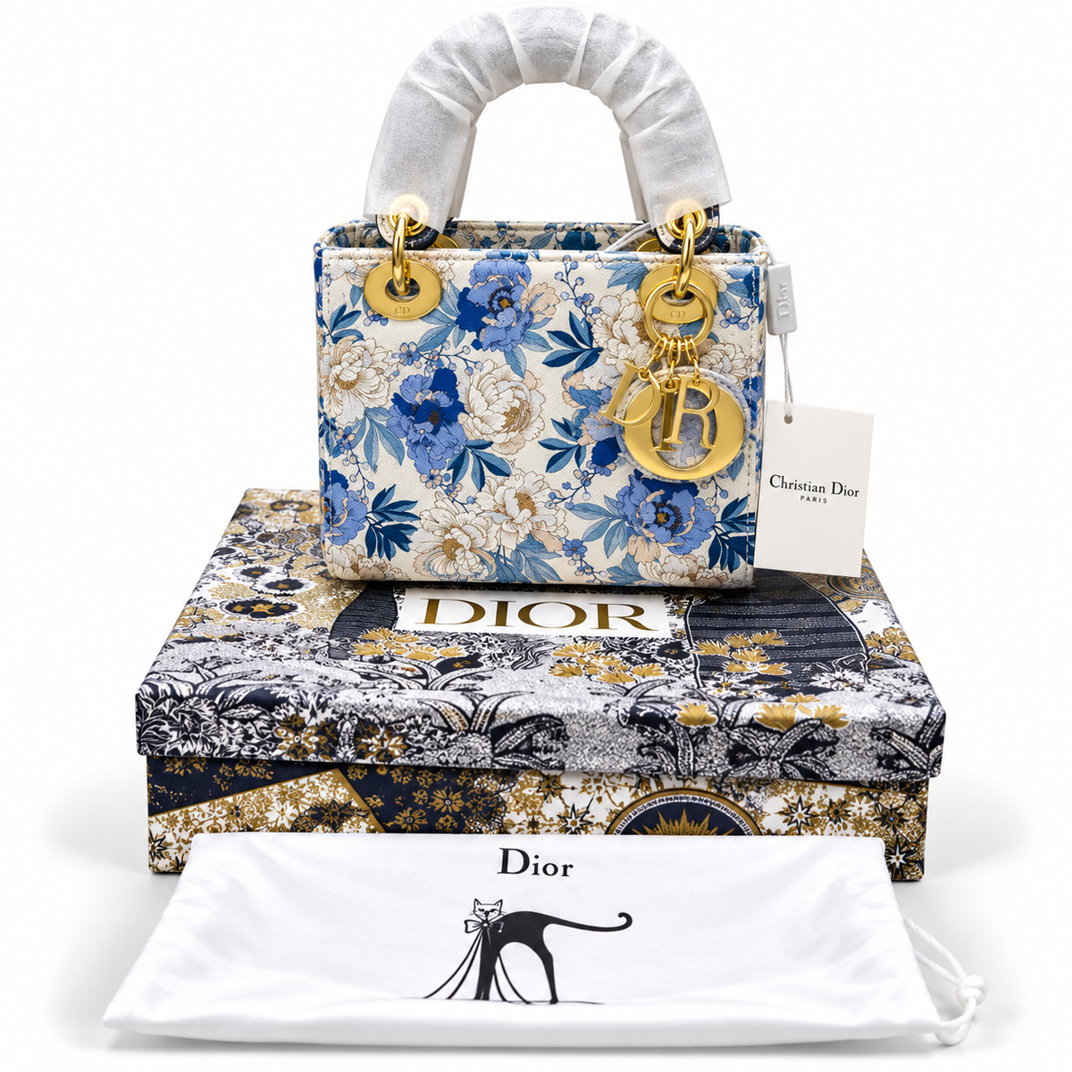 Luxury Dior Bag Master Copy