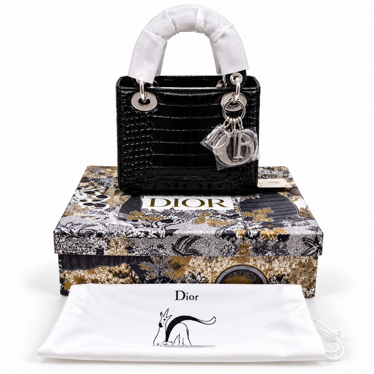 Luxury Dior Bag Master Copy