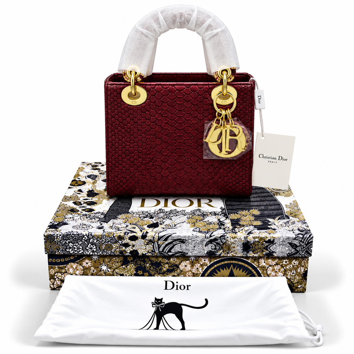 Luxury Dior Bag Master Copy