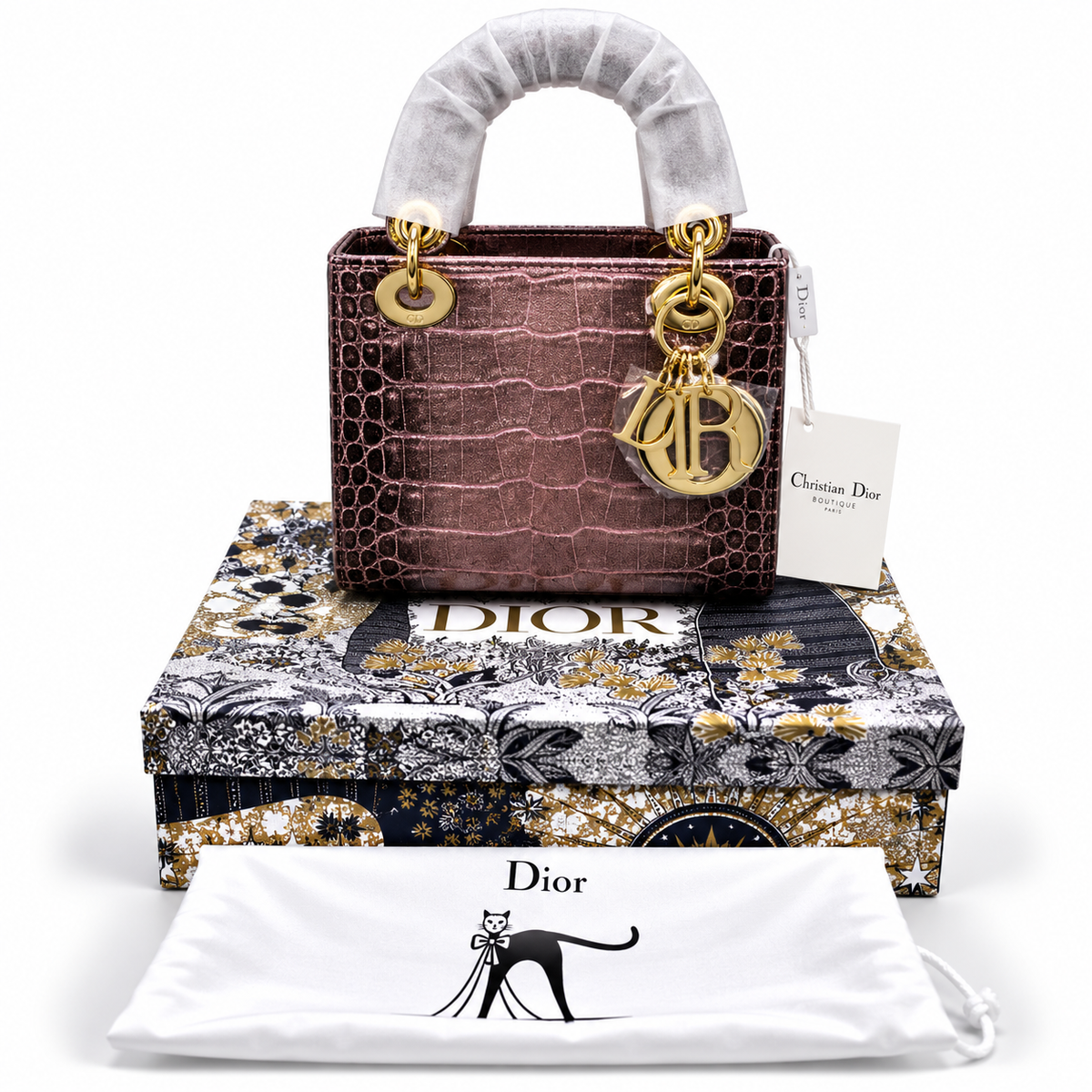 Luxury Dior Bag Master Copy