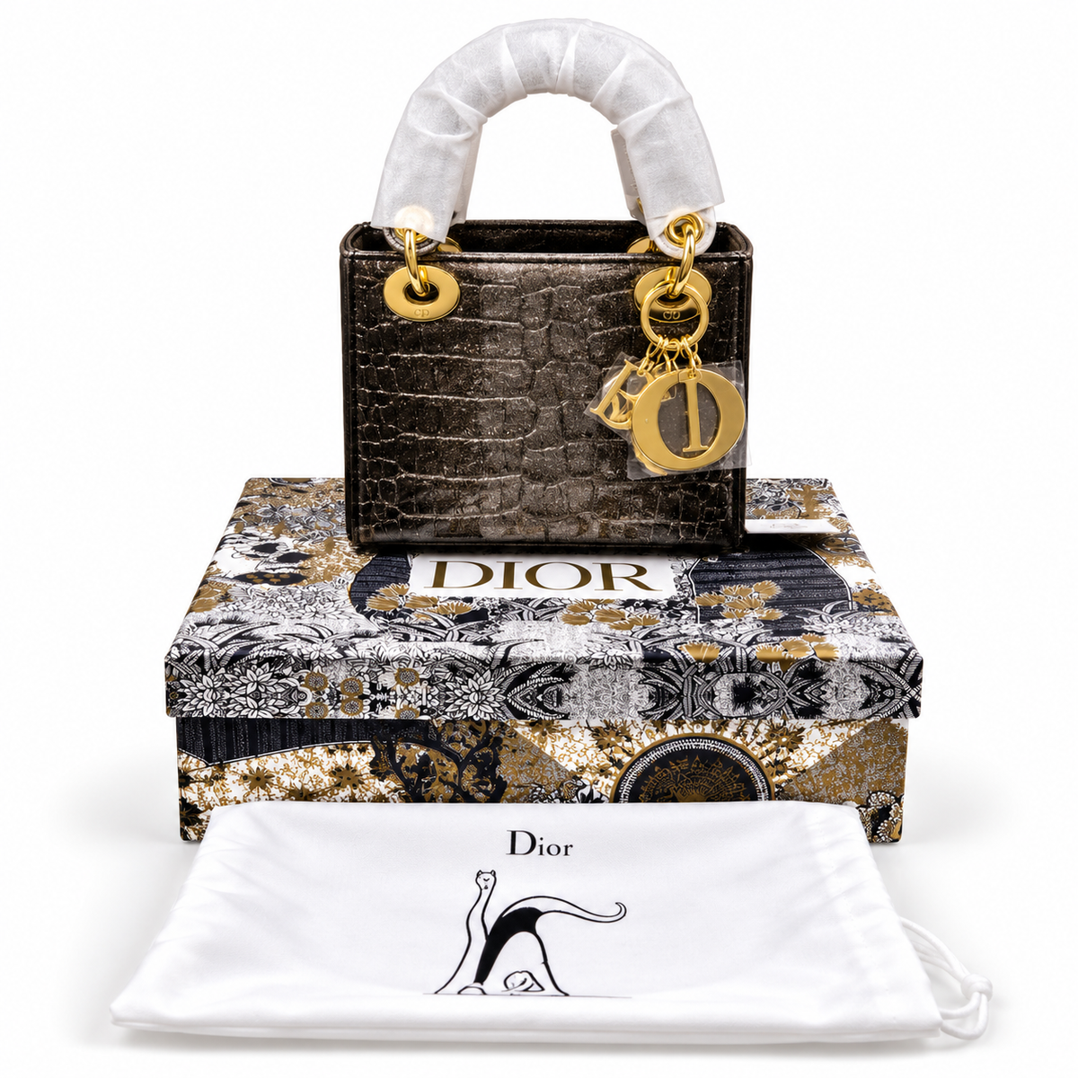 Luxury Dior Bag Master Copy