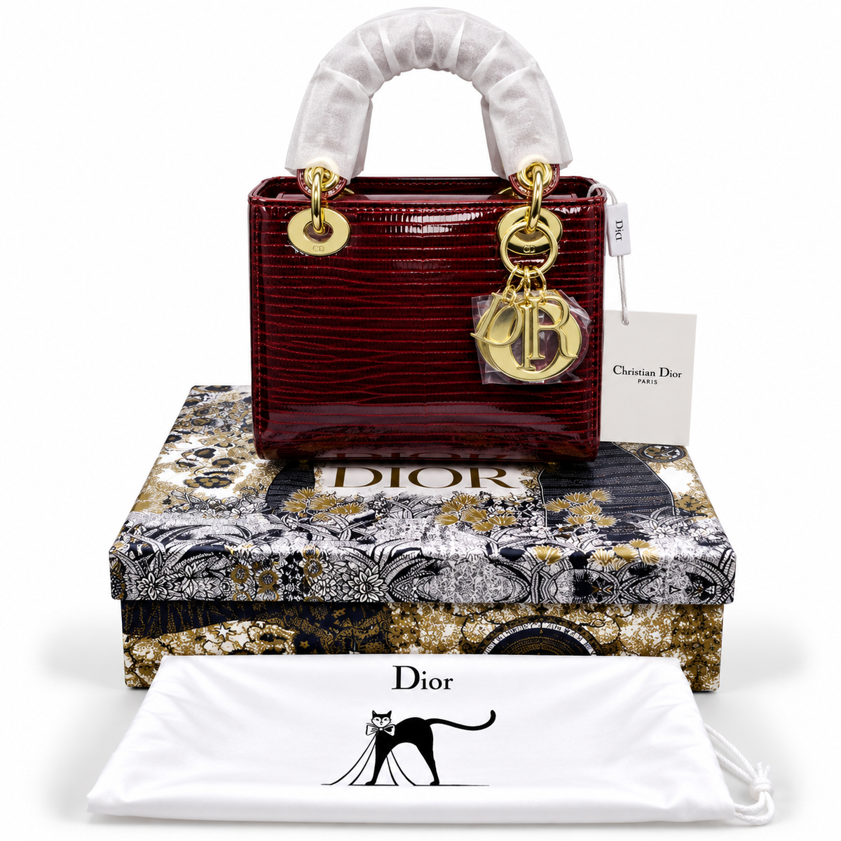 Luxury Dior Bag Master Copy