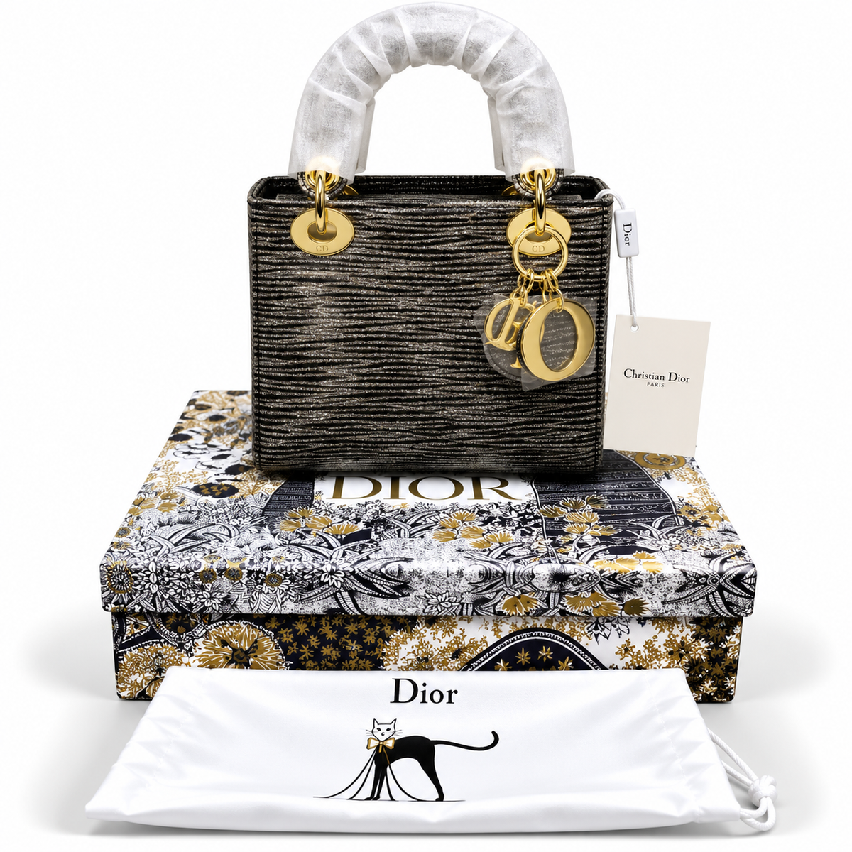 Luxury Dior Bag Master Copy