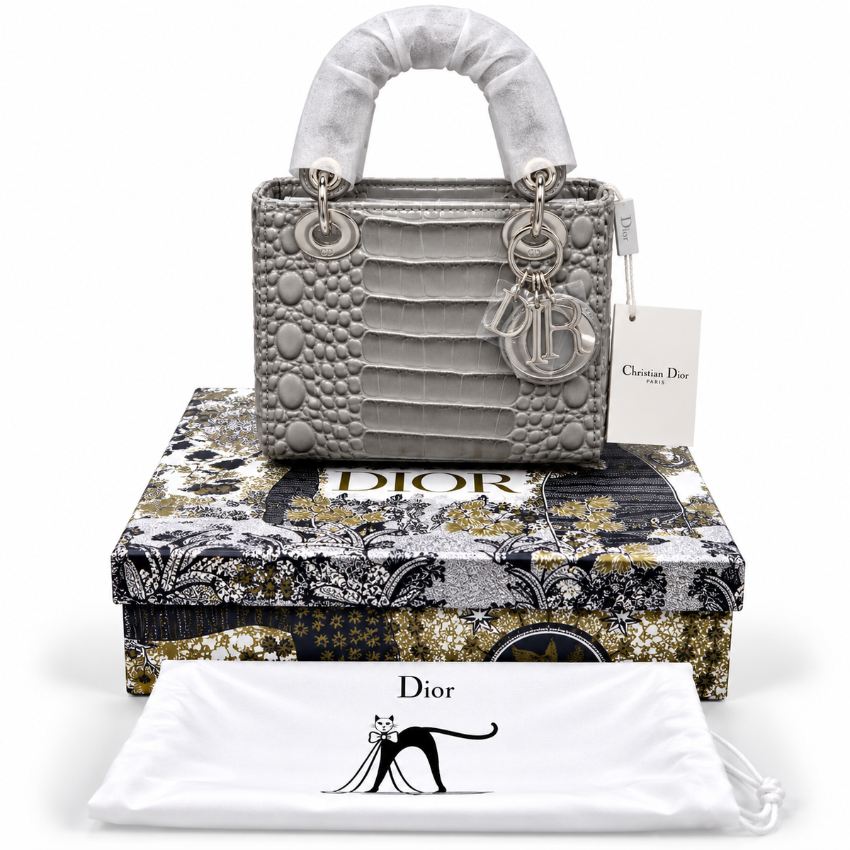 Luxury Dior Bag Master Copy