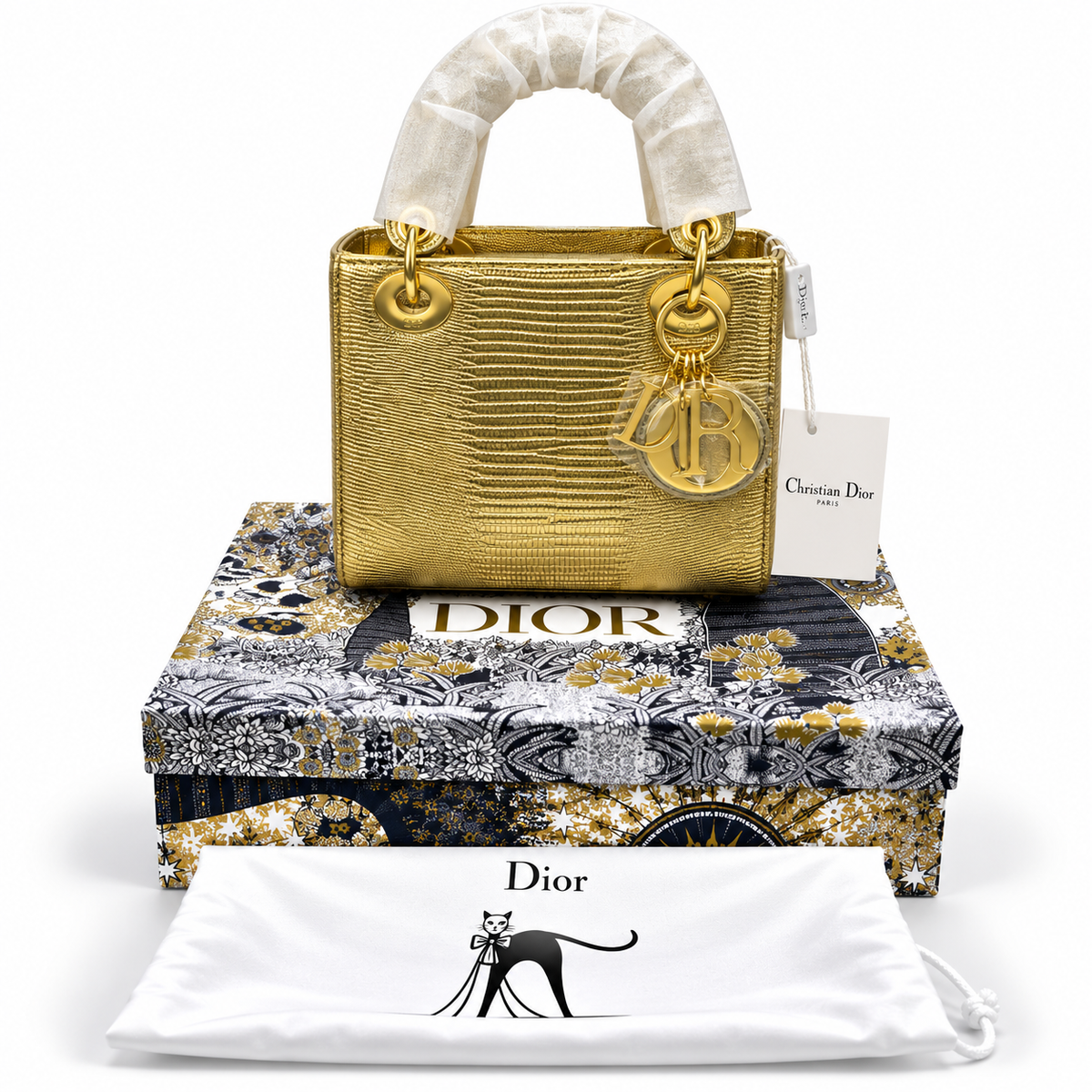 Luxury Dior Bag Master Copy