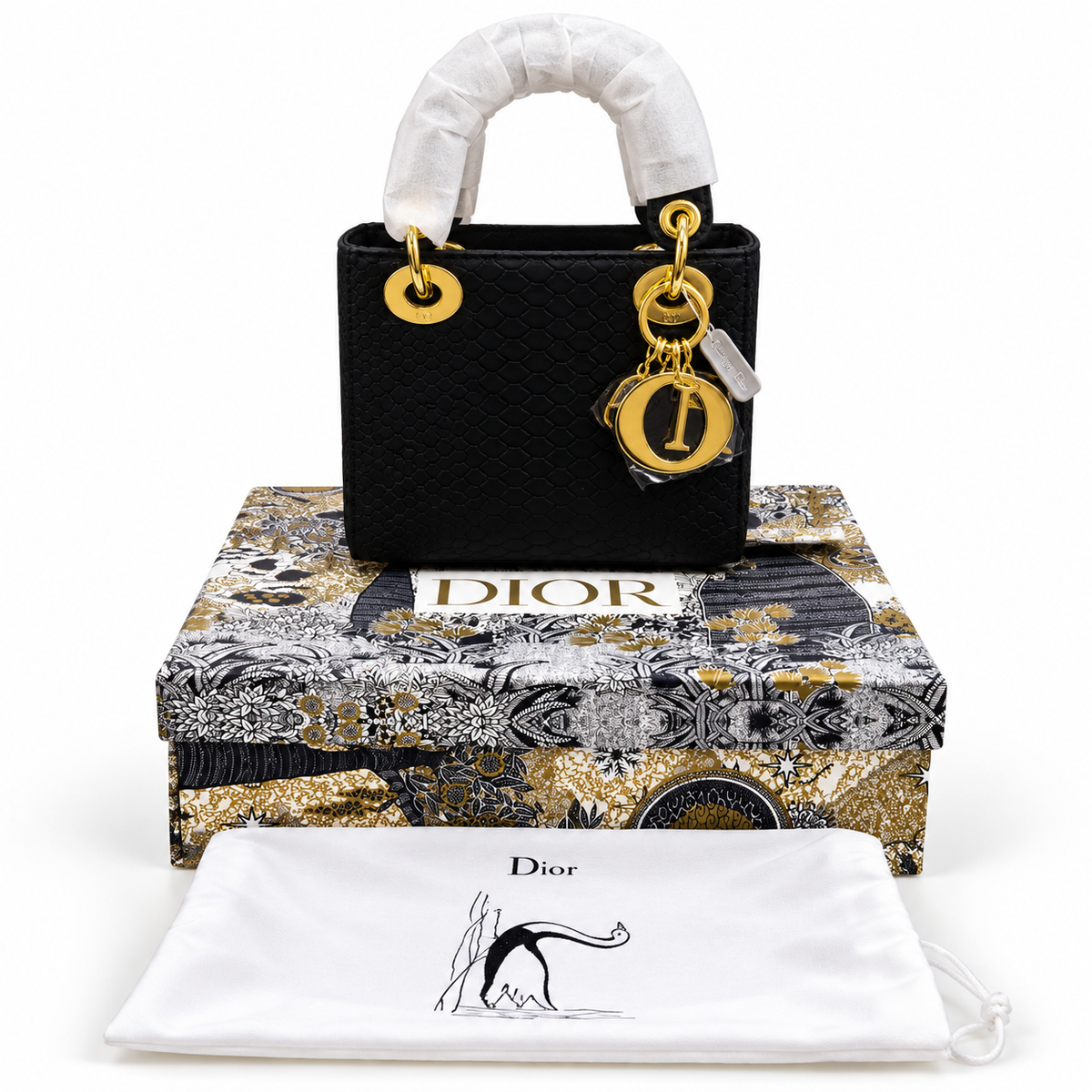 Luxury Dior Bag Master Copy