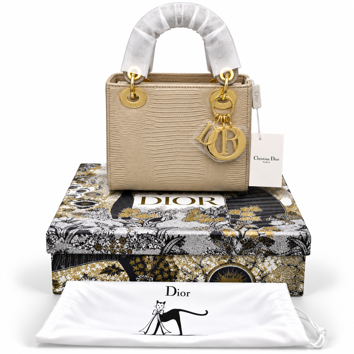 Luxury Dior Bag Master Copy