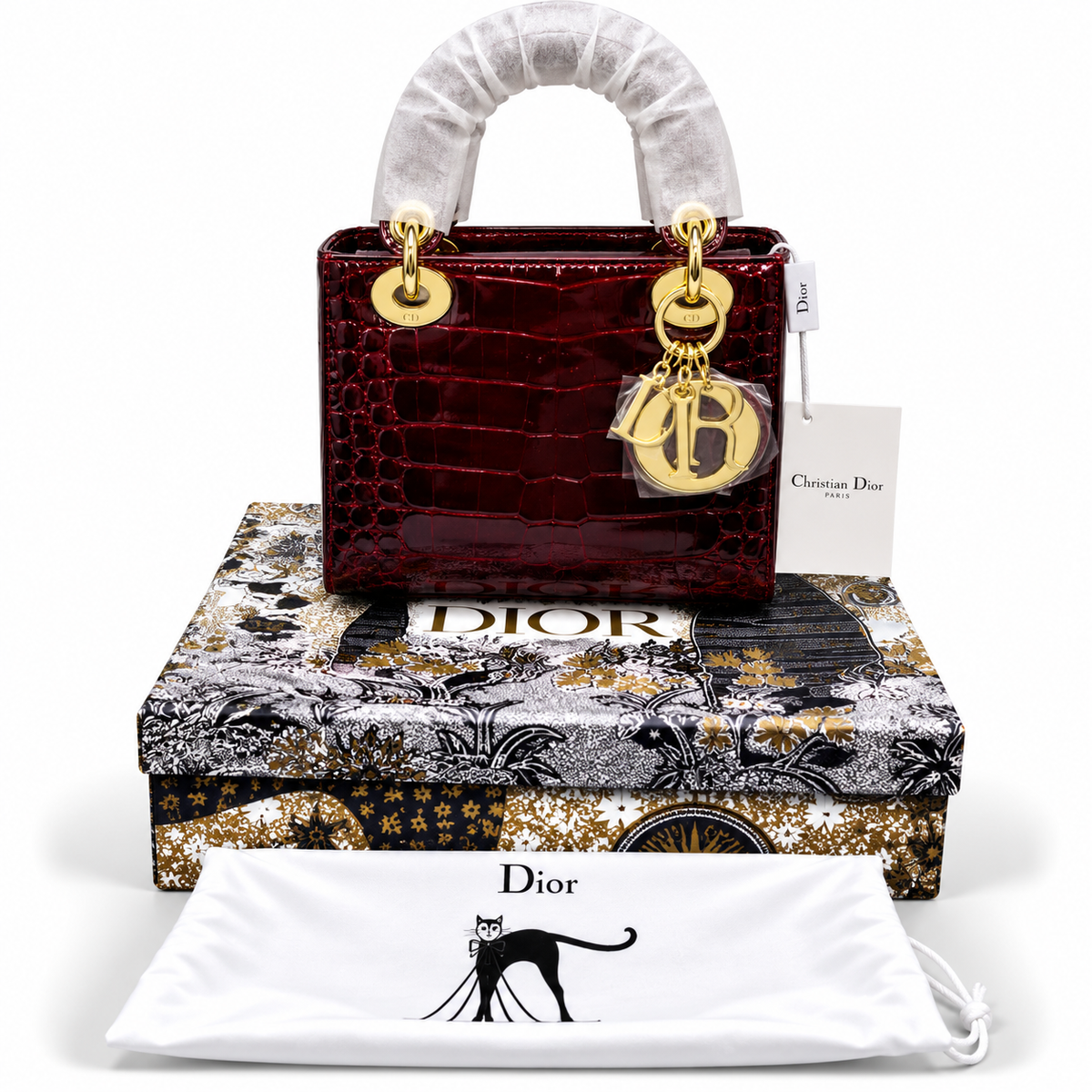 Luxury Dior Bag Master Copy