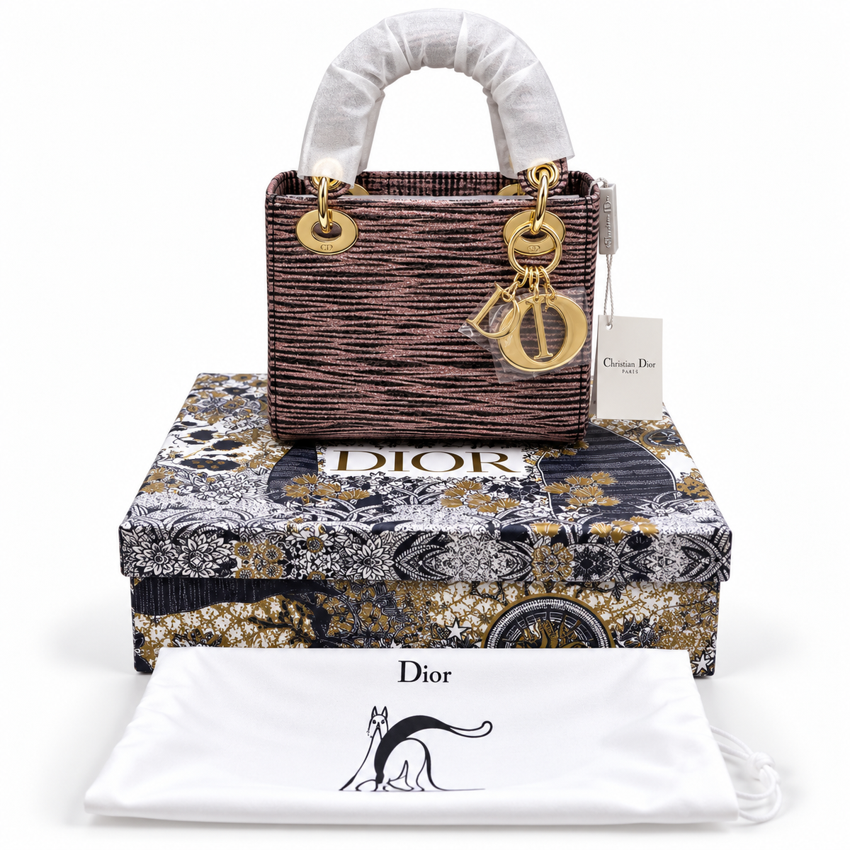 Luxury Dior Bag Master Copy