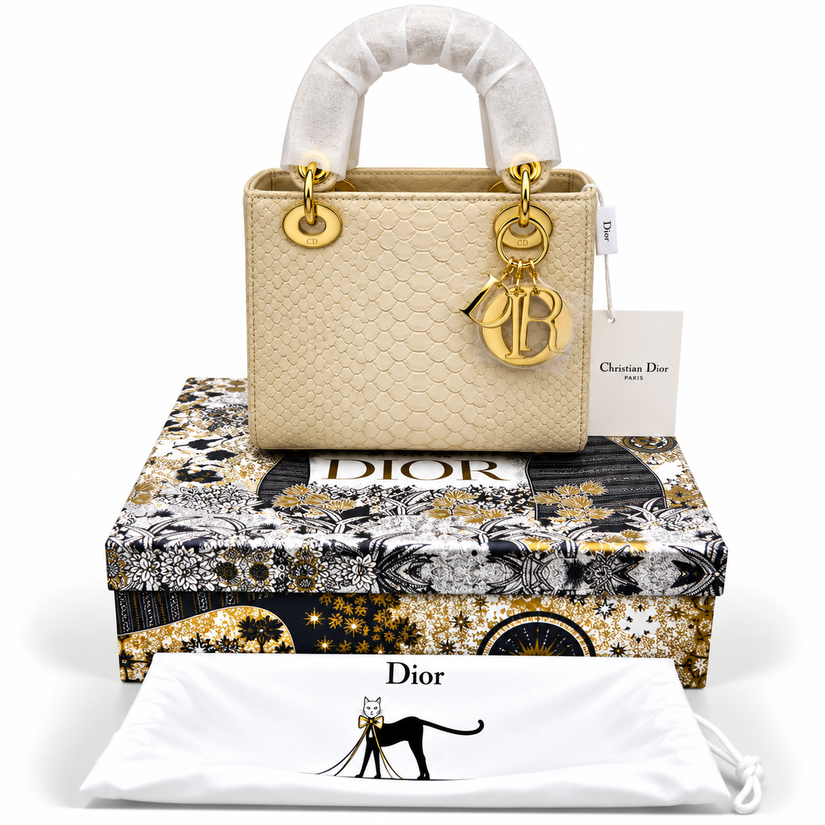 Luxury Dior Bag Master Copy 3