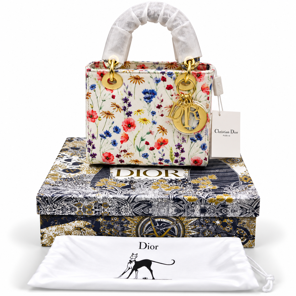Luxury Dior Bag Master Copy