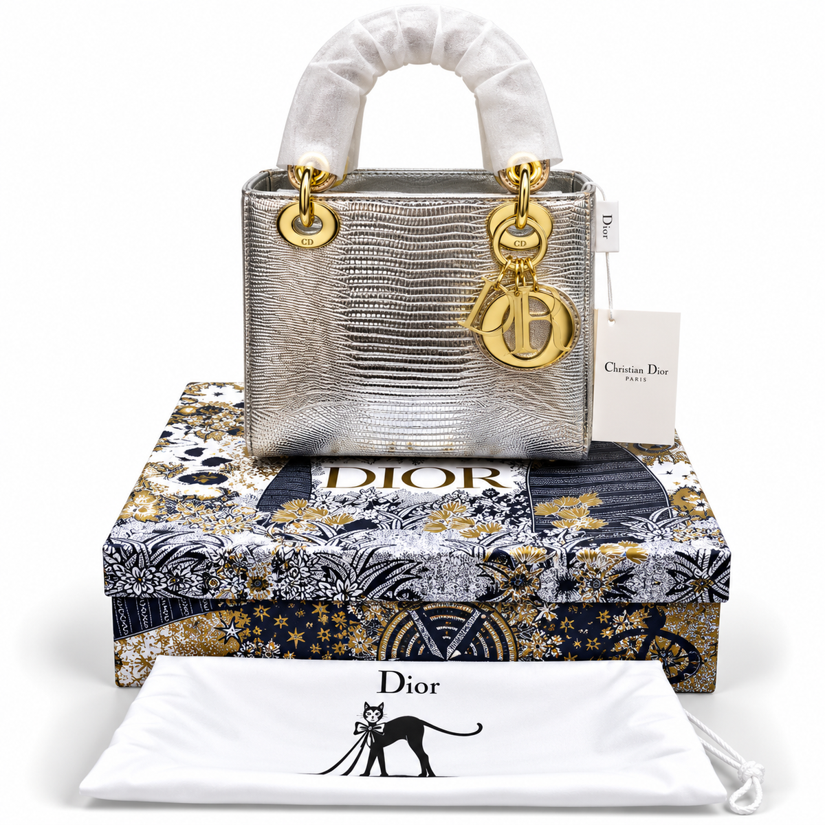Luxury Dior Bag Master Copy