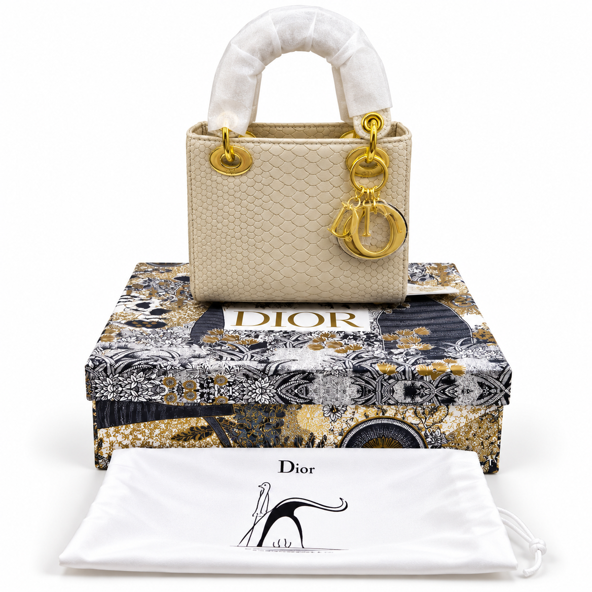 Luxury Dior Bag Master Copy