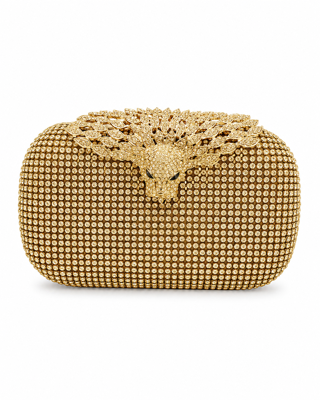 Fancy clutch Design 1